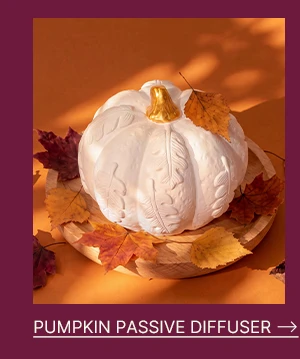 Pumpkin Passive Diffuser