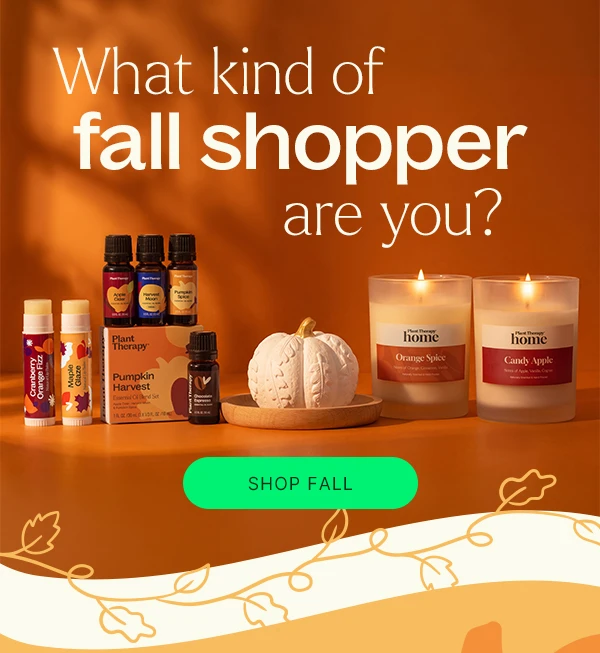 Shop Our Fall Drop