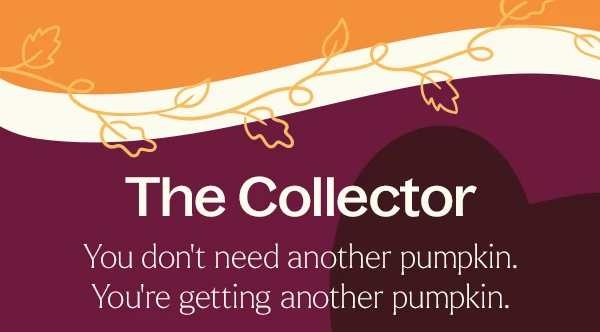 Shop Our Fall Drop