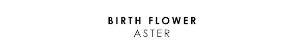 Birth Flower - Aster