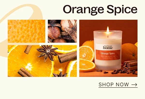 Shop Orange Spice Naturally Scented Candle