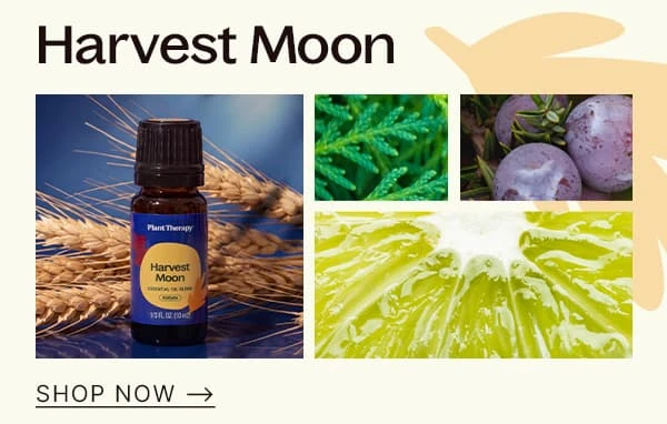 Shop Harvest Moon