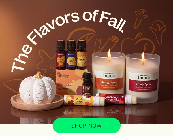 The Flavors of Fall: Shop Fall LTOs