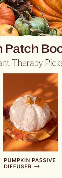 Pumpkin Passive Diffuser