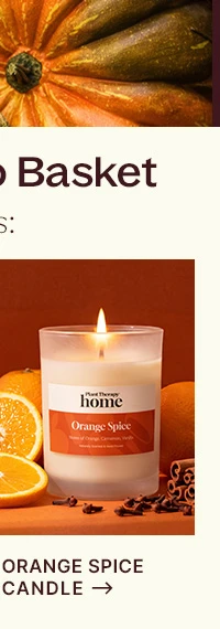 Orange Spice Naturally Scented Candle