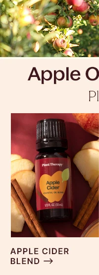 Apple Cider Essential Oil Blend