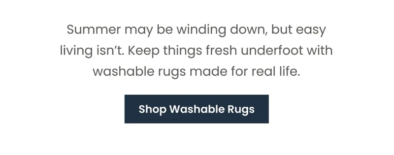 Shop Washable Rugs