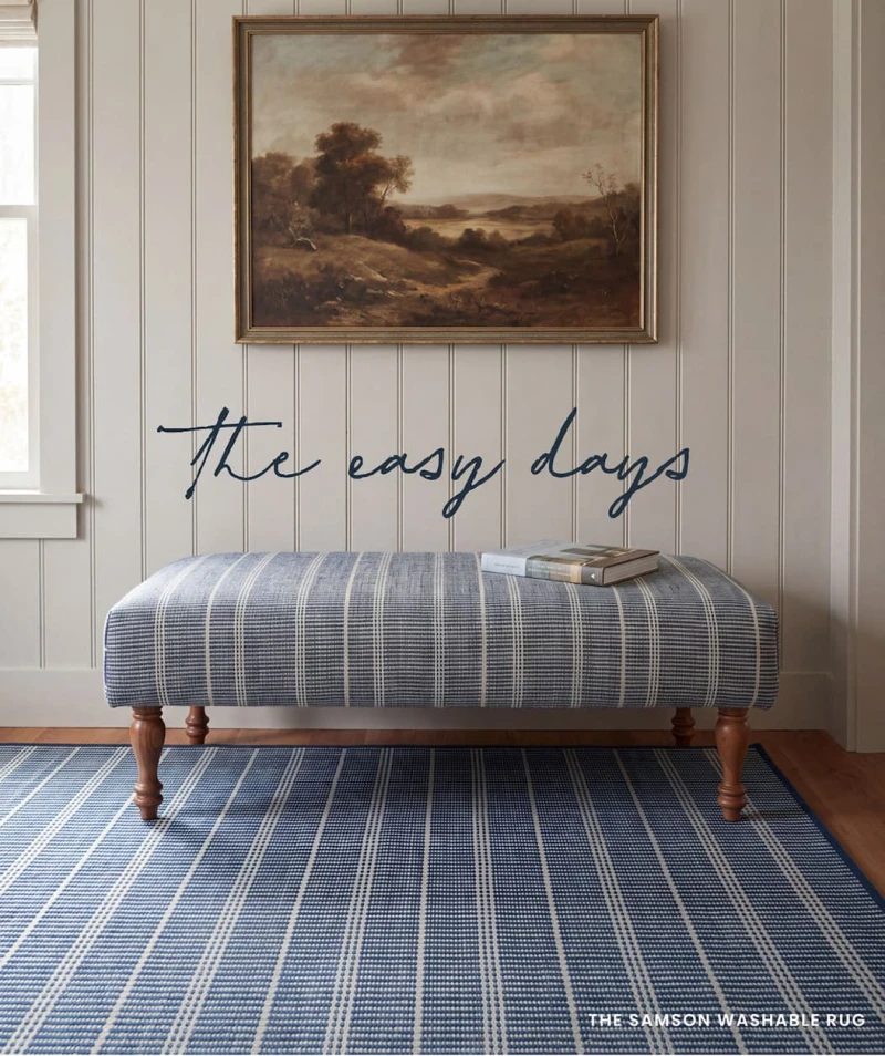 Shop Samson Machine Washable Rug