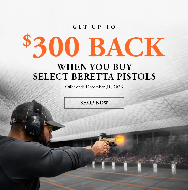 Up to $300 Rebate