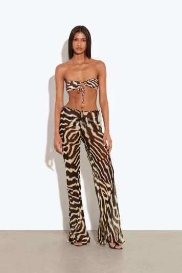 Sonni Zebra