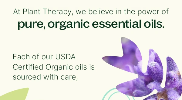 Our Top Organic Oils