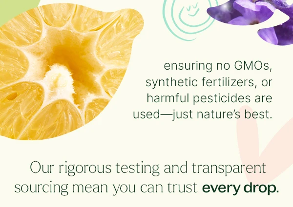 Our Top Organic Oils