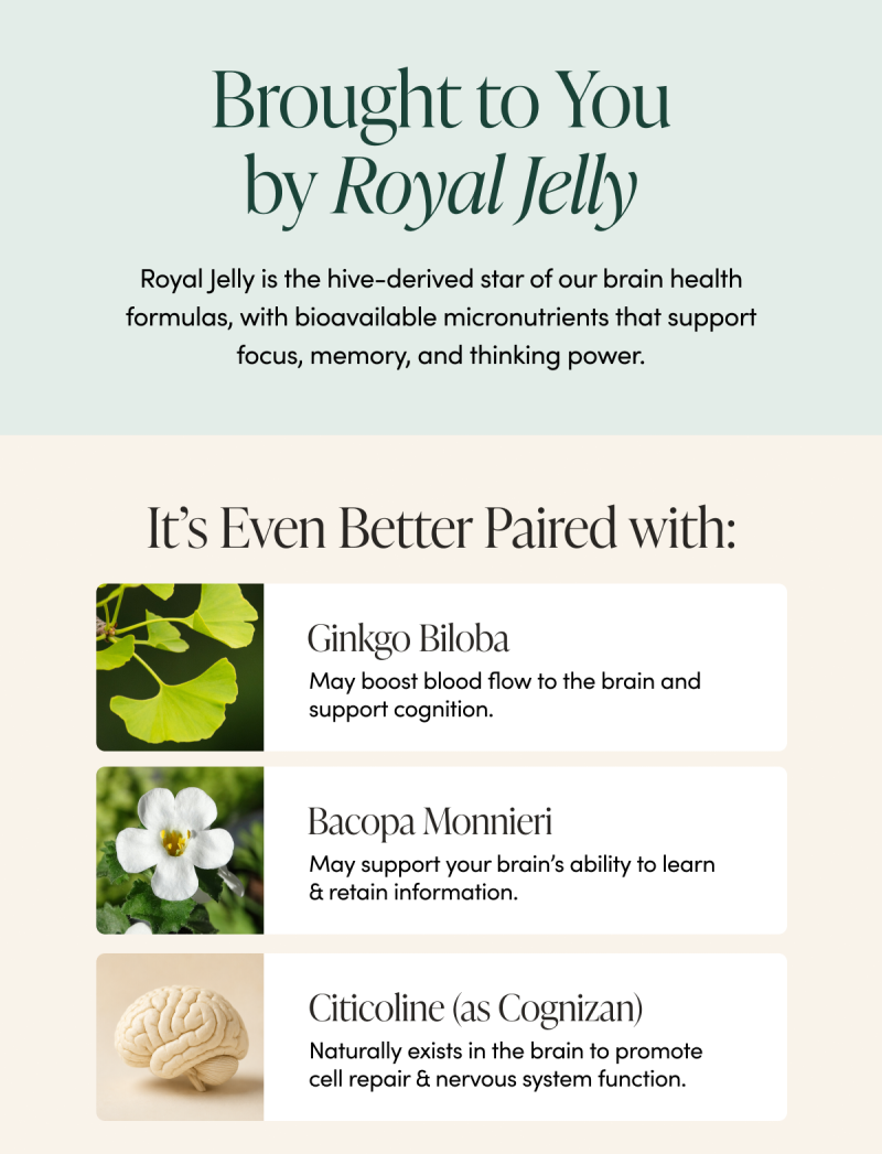 Brought to You by Royal Jelly  Royal Jelly is the hive-derived star of our brain health formulas, with bioavailable micronutrients that support focus, memory, and thinking power.   It’s Even Better Paired with:    Ginkgo Biloba May boost blood flow to the brain and support cognition.   Bacopa Monnieri May support your brain’s ability to learn & retain information.     Citicoline (as Cognizan)   Naturally exists in the brain to promote cell repair & nervous system function.  