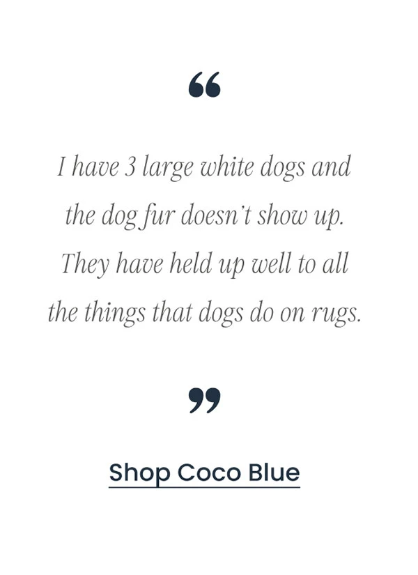 Shop Coco Handwoven Indoor/Outdoor Rug