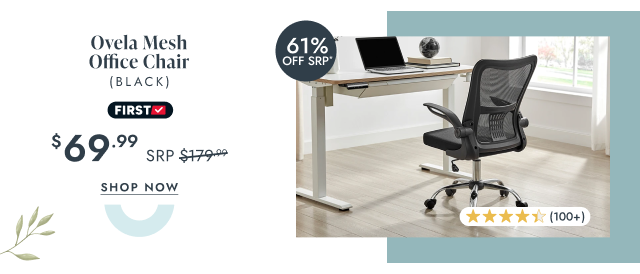 Ovela Mesh Office Chair (Black)