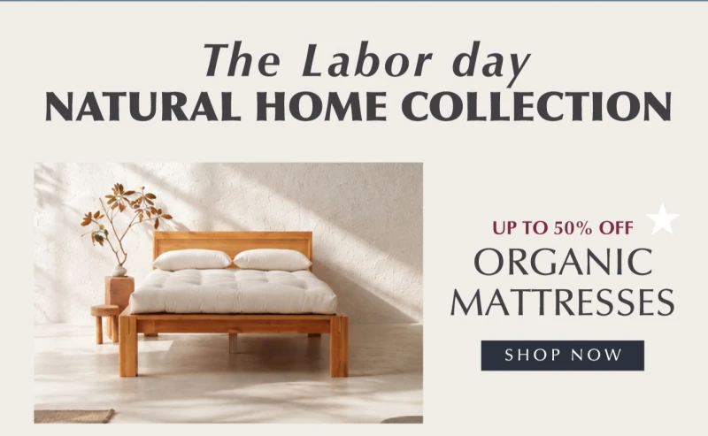 The Futon Shop
