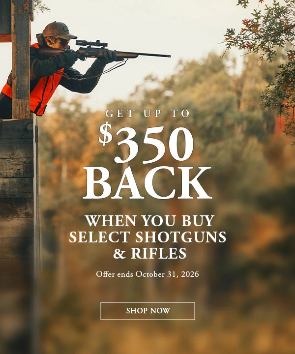 Up to $350 Rebate