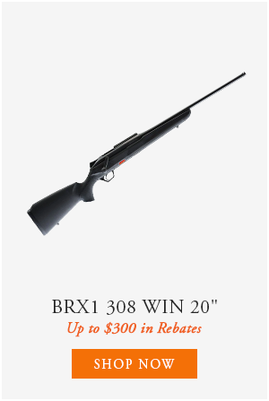 BRX1 308