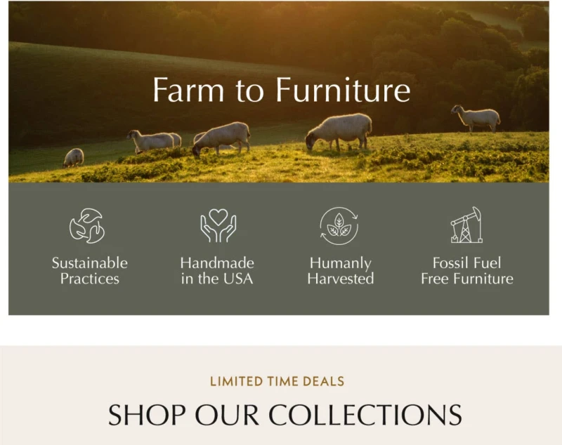 The Futon Shop