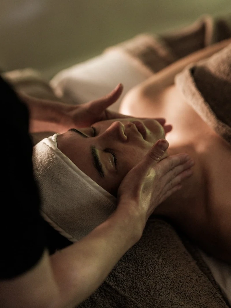 @wildsmithskin