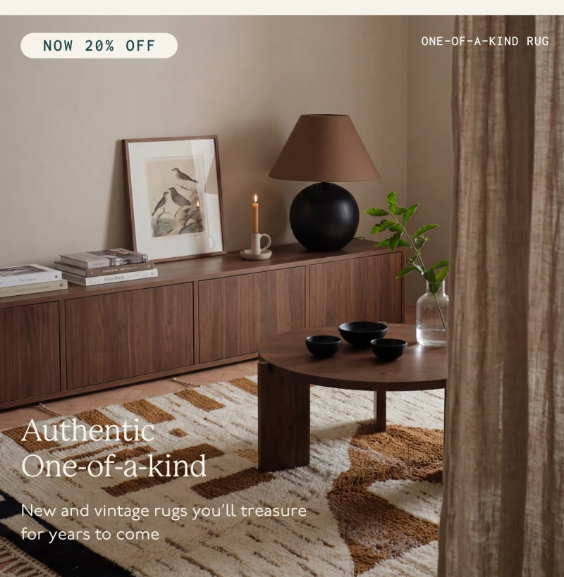 Authentic One-of-a-kind | NOW 20% OFF | New and vintage rugs you’ll treasure for years to come | One-of-a-kind Rug 