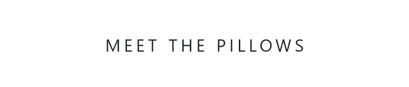 Meet the pillows