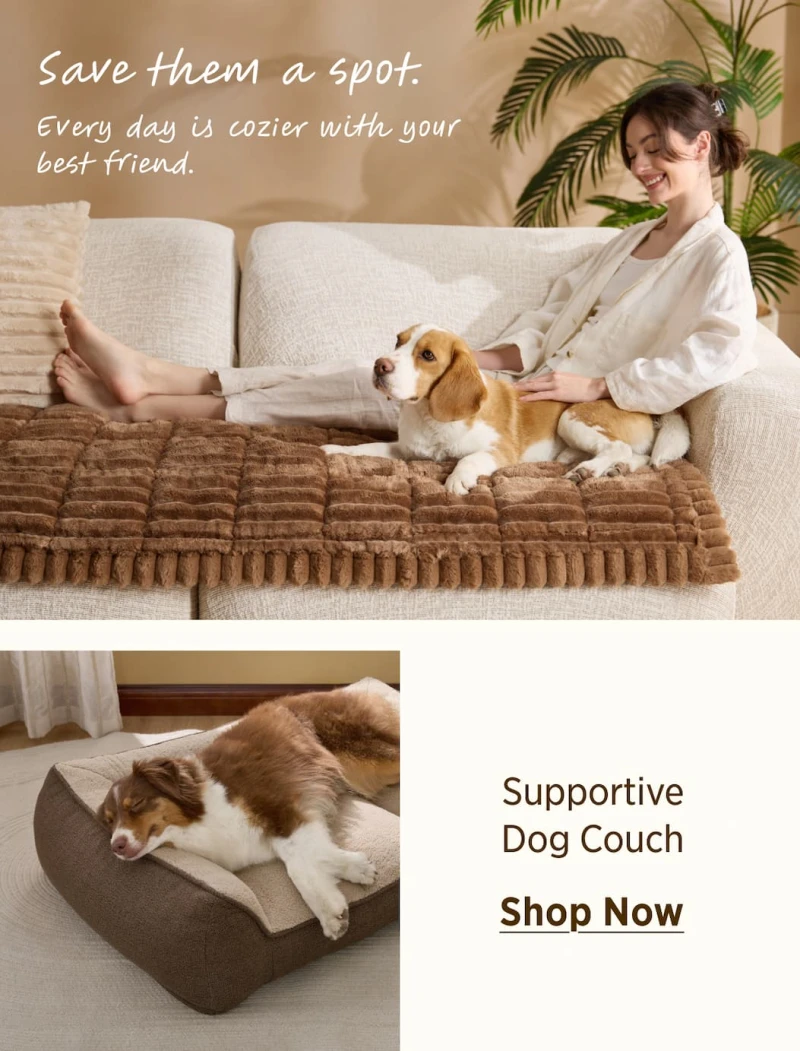 Newsletter image