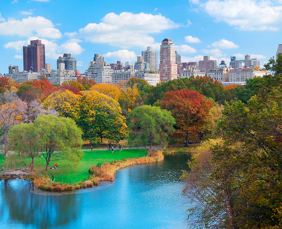 Ein malerischer Blick auf den Central Park im Herbst, mit leuchtenden Bäumen in Rot-, Orange- und Gelbtönen, die einen ruhigen See und die Skyline von New York City im Hintergrund säumen. Menschen genießen die sonnige Jahreszeit auf den grünen Rasenflächen.