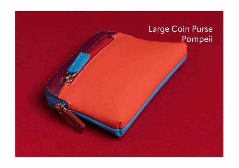 Large Coin Purse Pompeii