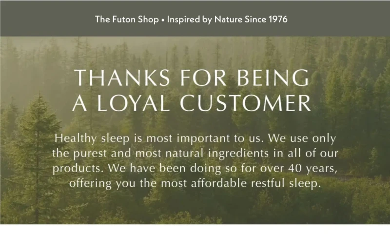 The Futon Shop