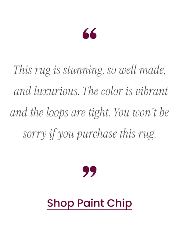 Paint Chip Hand Micro Hooked Wool Rug