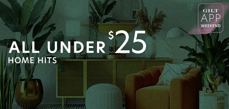 All Under $25 Home Hits: