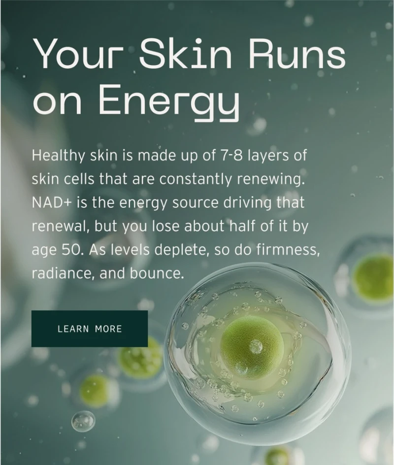 Newsletter image