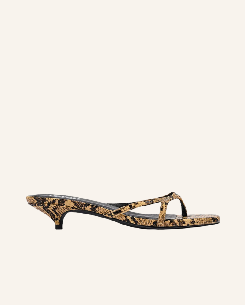 Farrah Brown Snake 
