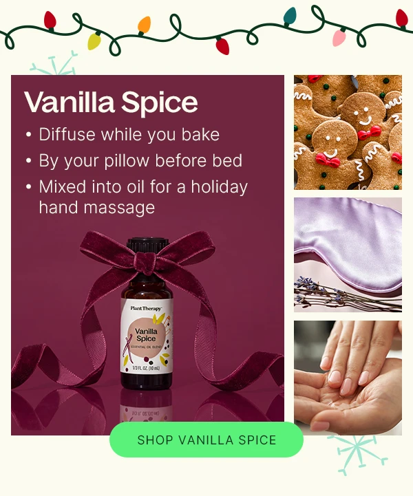 Vanilla Spice