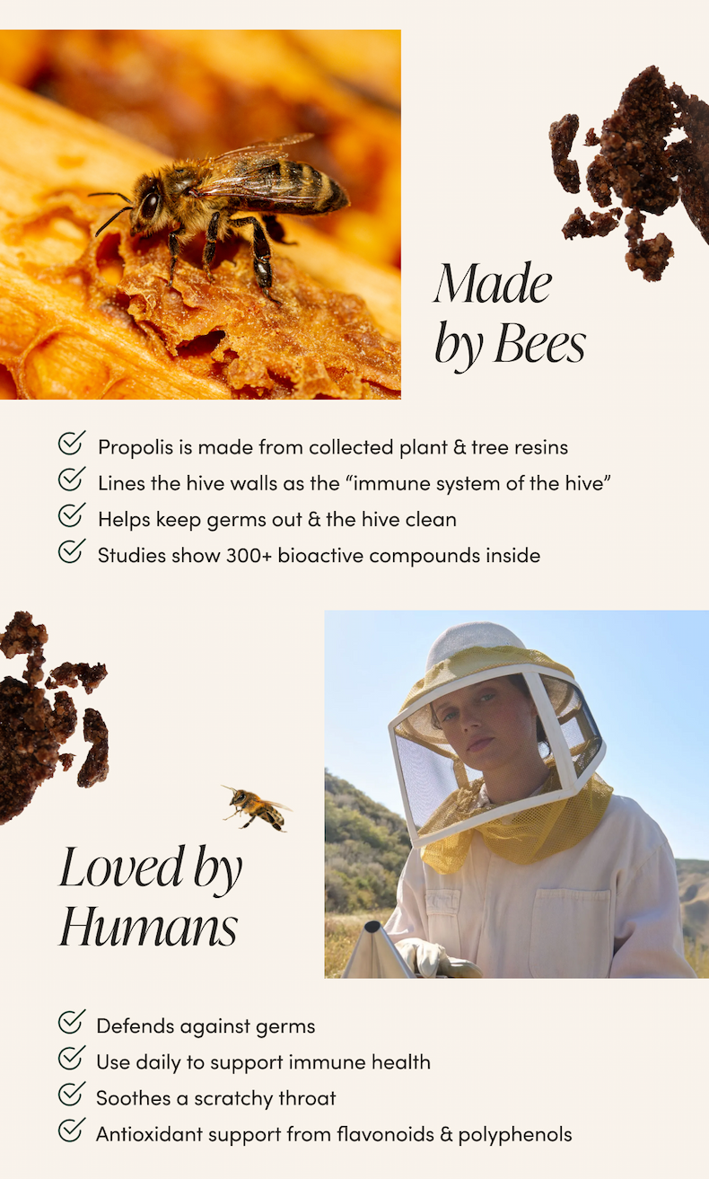 Made by Bees Propolis is made from collected plant & tree resins Lines the hive walls as the “immune system of the hive” Helps keep germs out & the hive clean  Studies show 300+ bioactive compounds inside        MOD 3 Loved by Humans  Defends against germs  Supports immune health Use it daily to “line the throat & sinuses”  Antioxidant support from flavonoids & polyphenols 