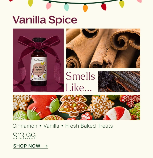 Vanilla Spice