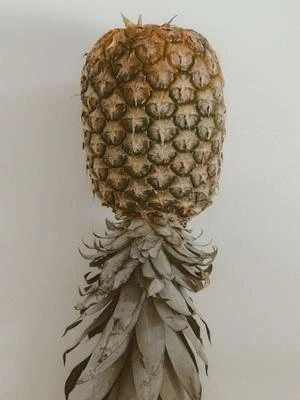 A pineapple hanging upside down