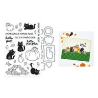 Hero Arts - Cozy Season Collection - Die And Clear Photopolymer Stamp Set - Hide And Peek