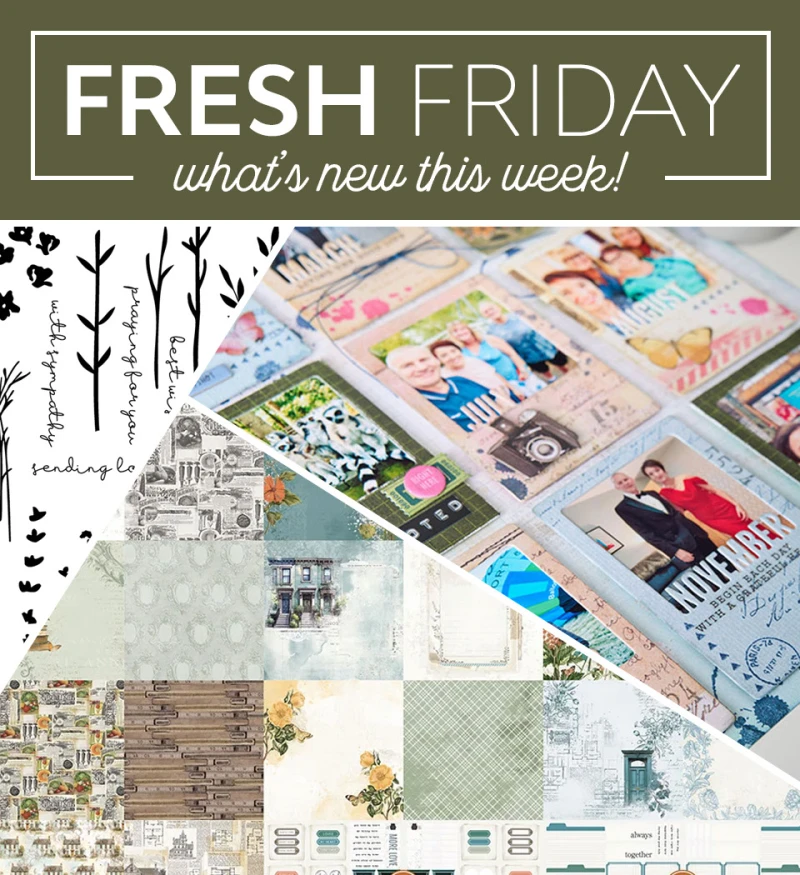 Fresh Friday Fresh Friday
