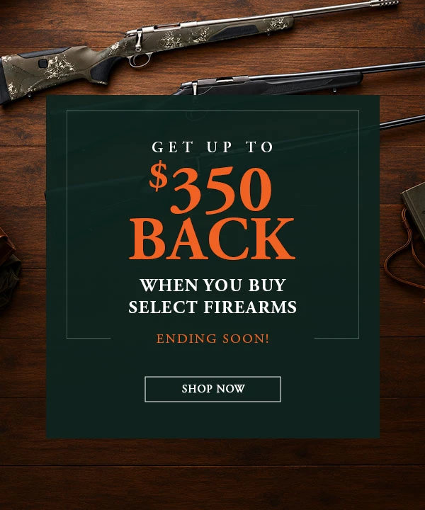 Up to $350 Rebate