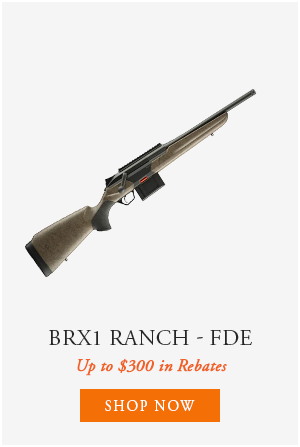 BRX1
