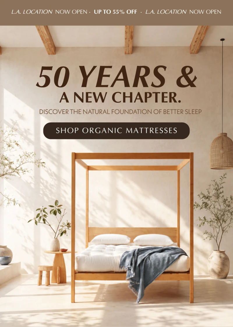 The Futon Shop