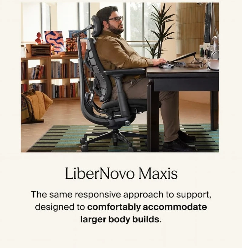 Maxis