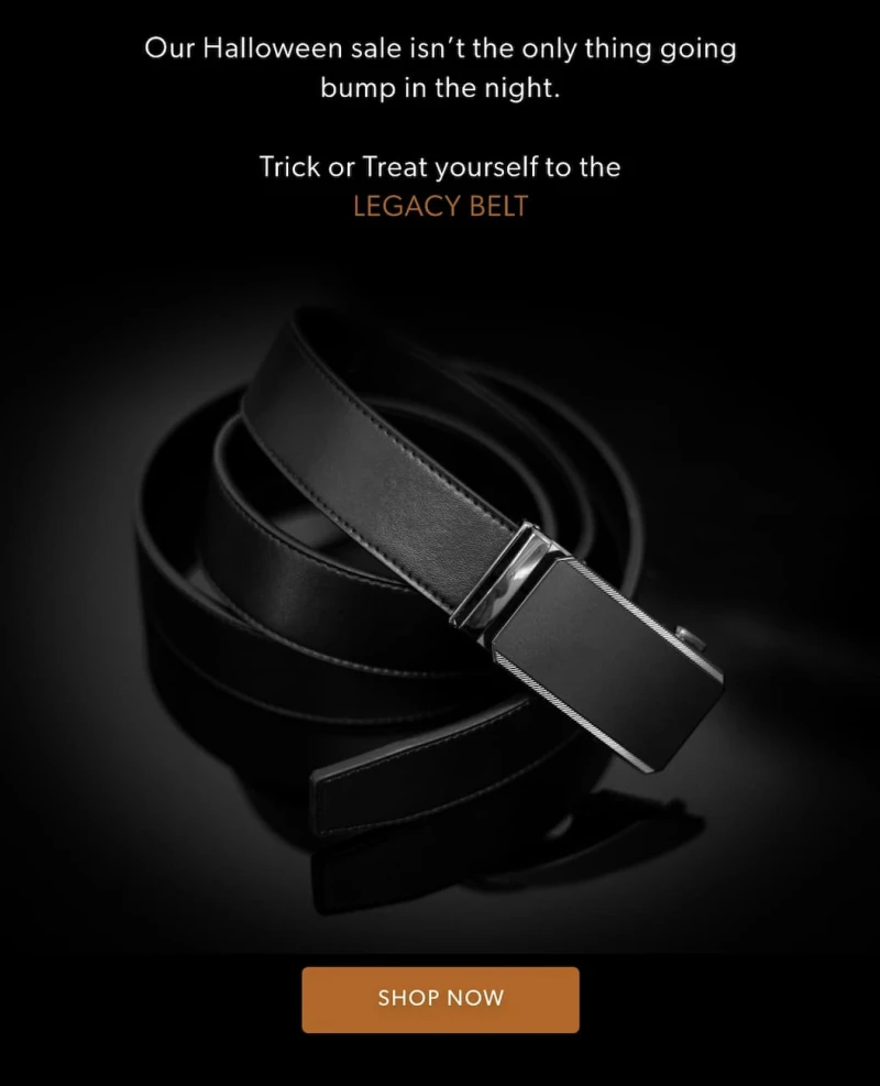 Shop Legacy Belt