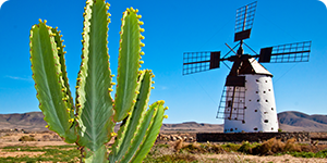 Explorez notre blog de voyage!