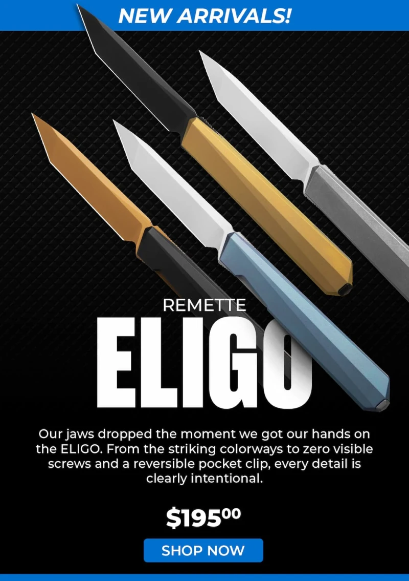 REMETTE ELIGO