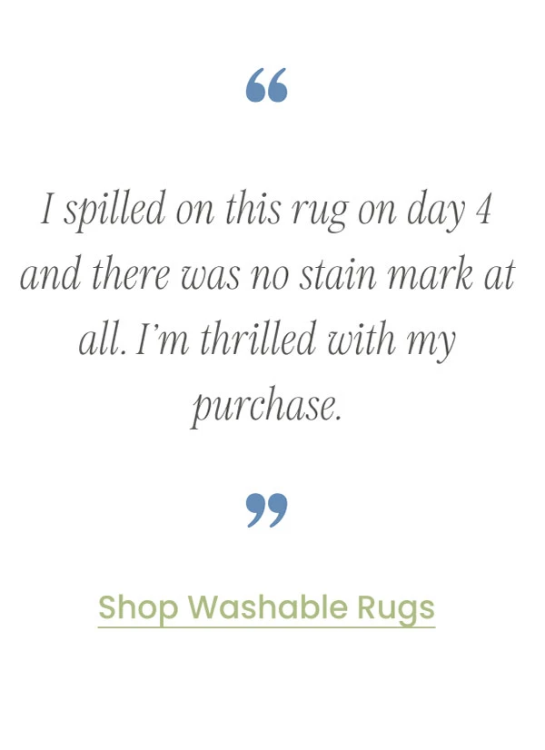 Shop Washable Rugs