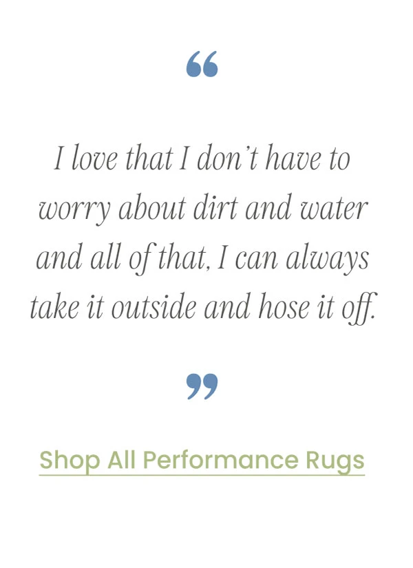 Shop All Performance Rugs