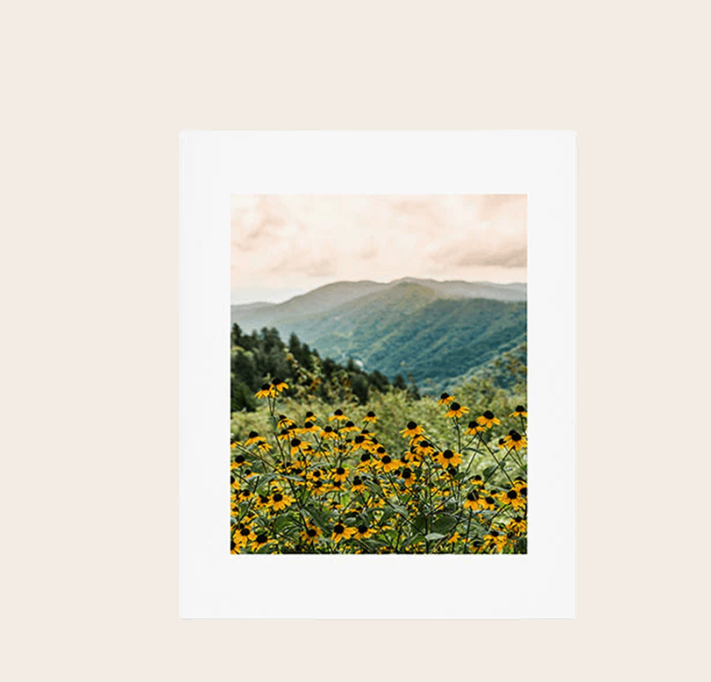 Smoky Mountains Wildflower Nature Photography Art Print